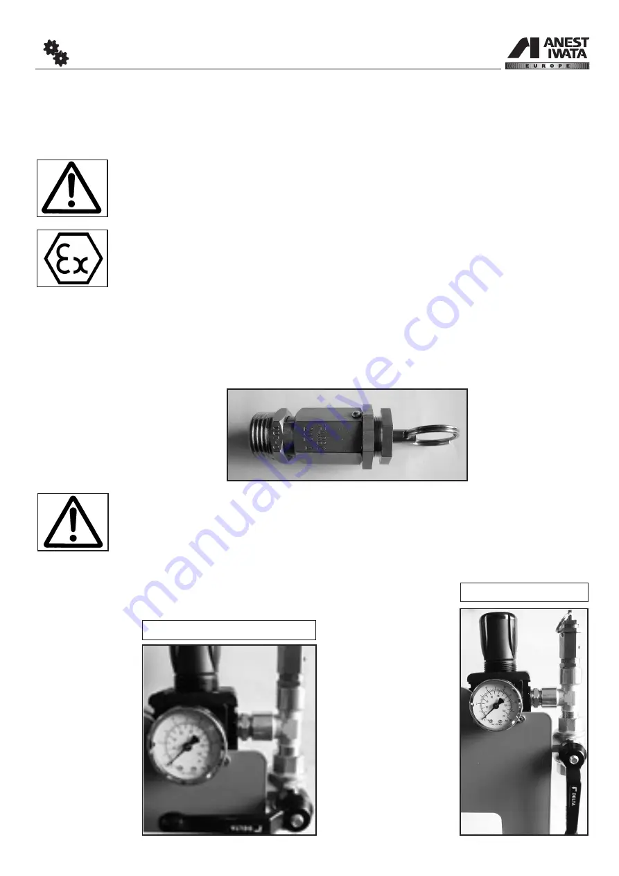 Anest Iwata MSU B193 Use And Maintenance Manual Download Page 13