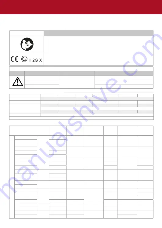 Anest Iwata W 200 Use And Maintenance Instruction Manual Download Page 13