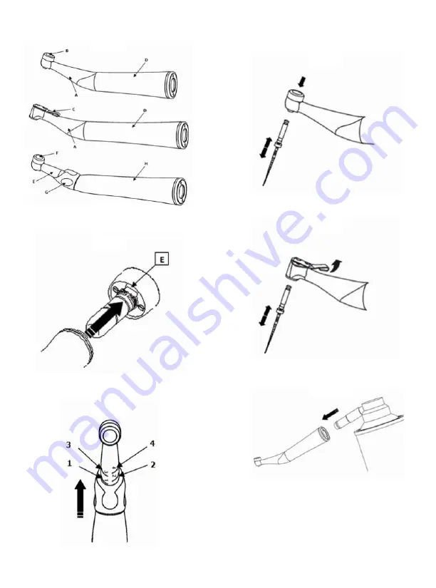 Anthogyr MICRO NITI 10608 Instructions For Use Manual Download Page 2