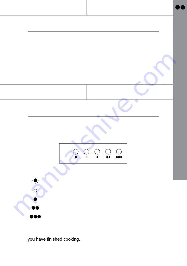 Apelson CHIM60SV Manual Download Page 13