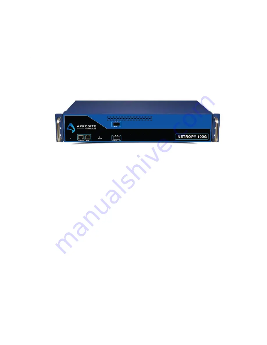 Apposite Netropy 100G Hardware Manual Download Page 6