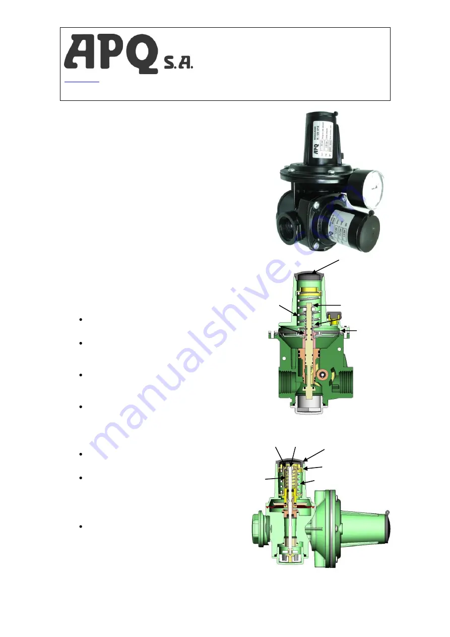 APQ S.A. R-120 HP Скачать руководство пользователя страница 1