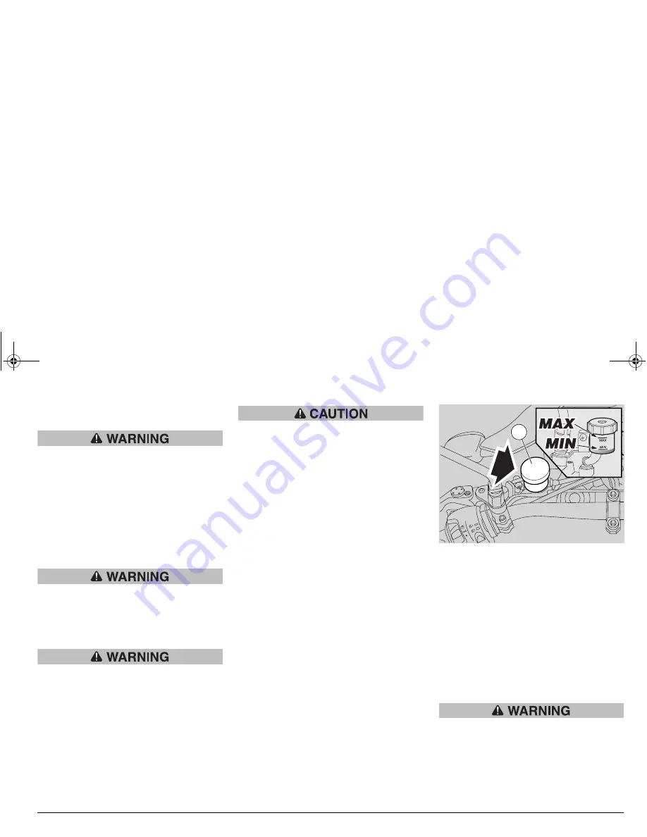 APRILIA RSV MILLE - 2002 Manual Download Page 61