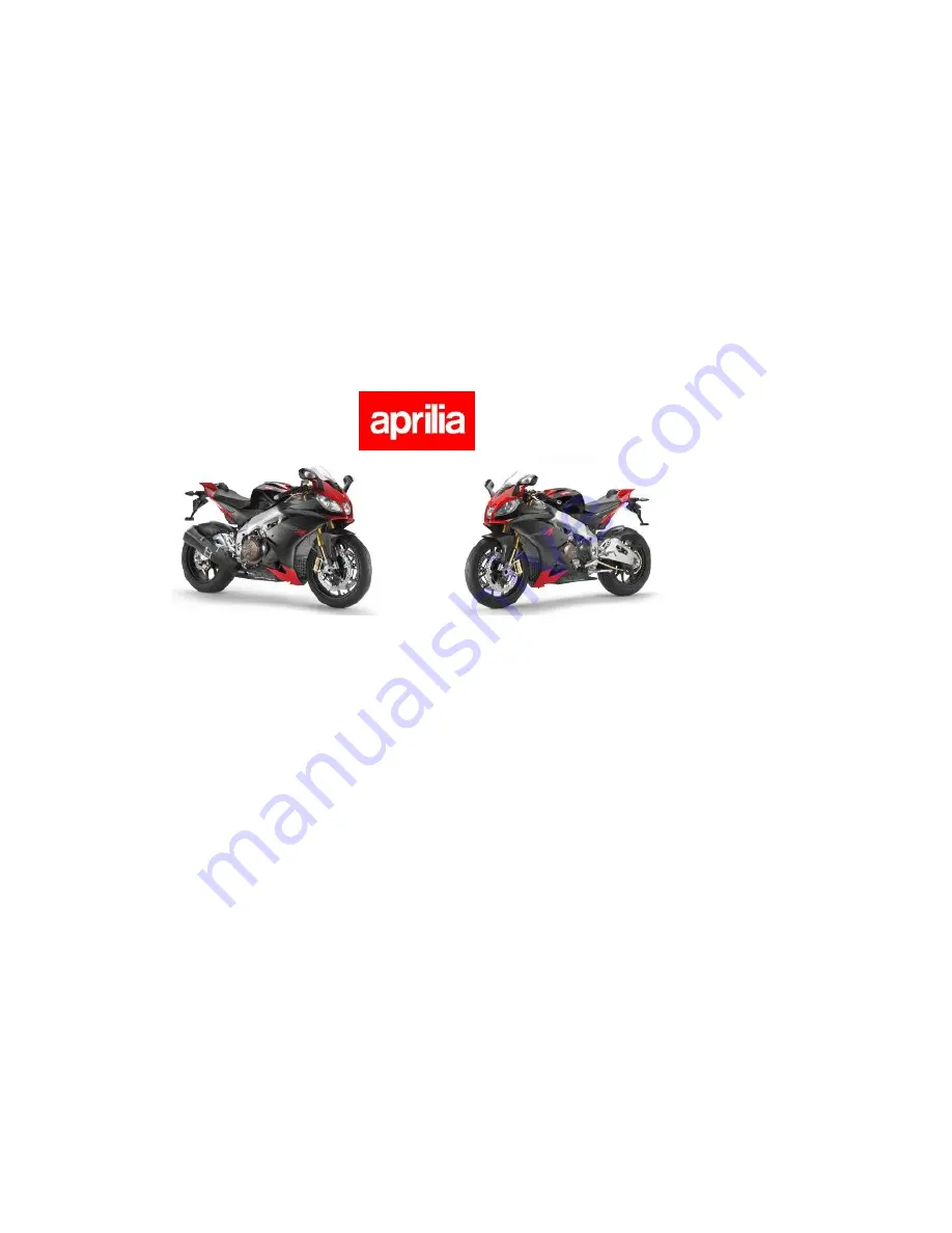 APRILIA RSV4 BROCHURE 2009 Manual Download Page 51