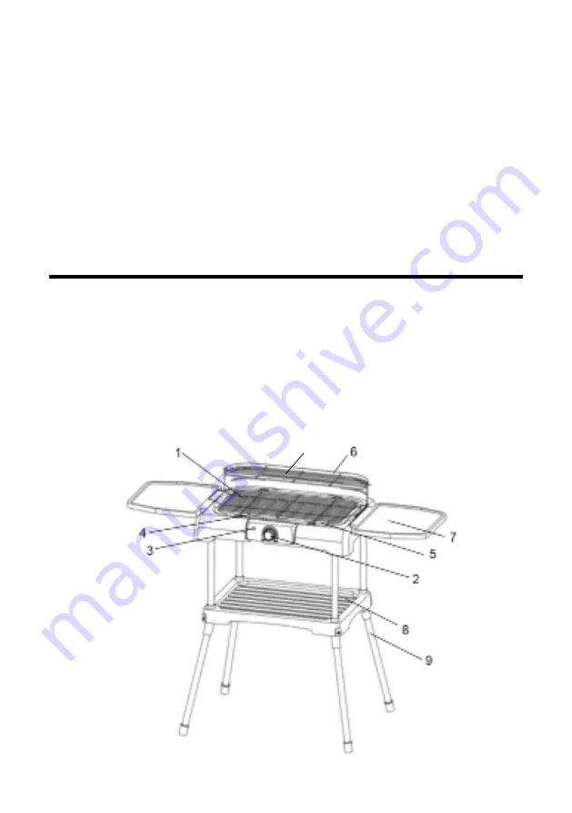 ARDES ARBBQ02 Instructions For Use Manual Download Page 22