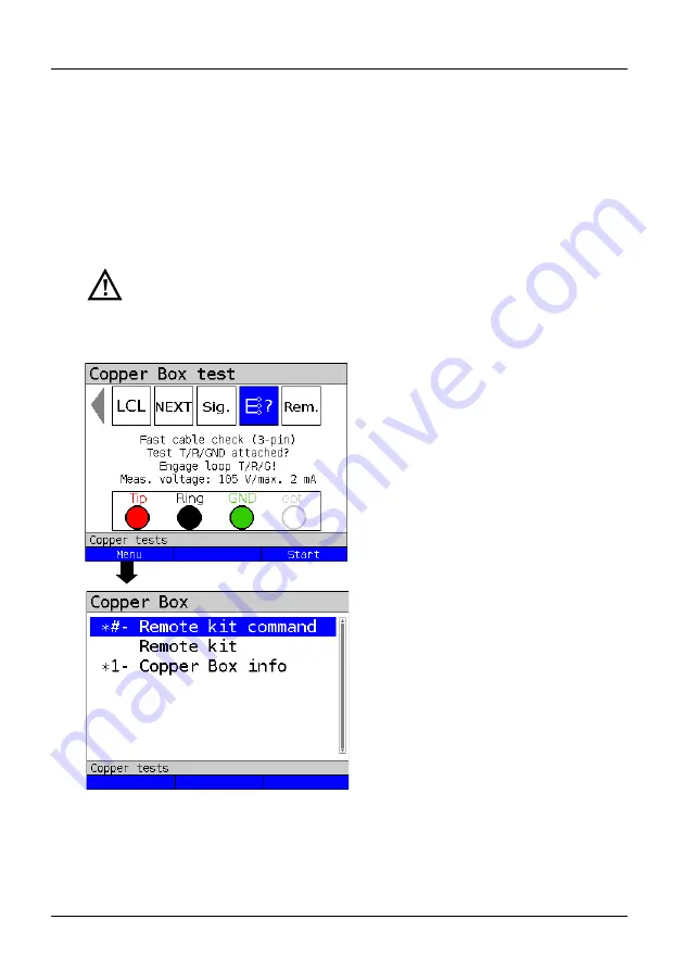 Argus Copper Box v4 Manual Download Page 79