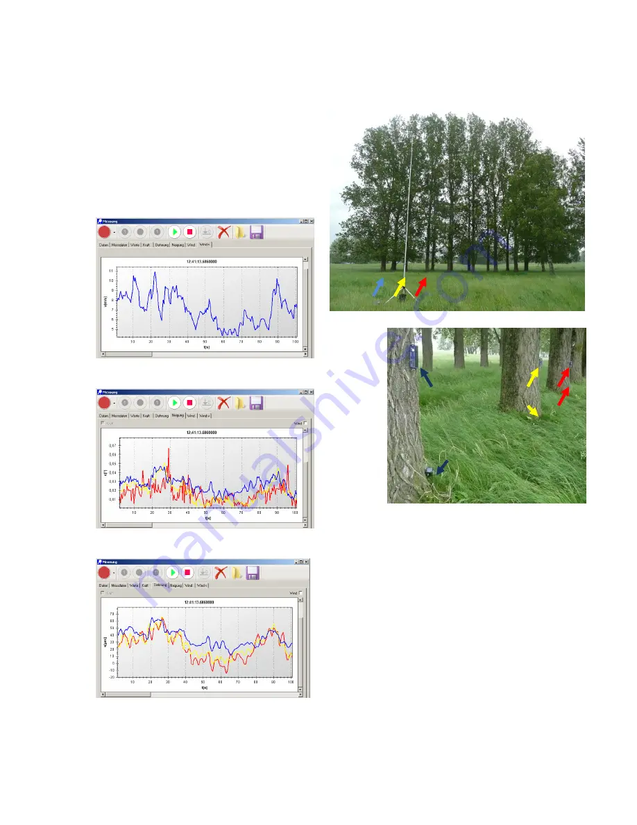 Argus TreeQinetic Скачать руководство пользователя страница 14