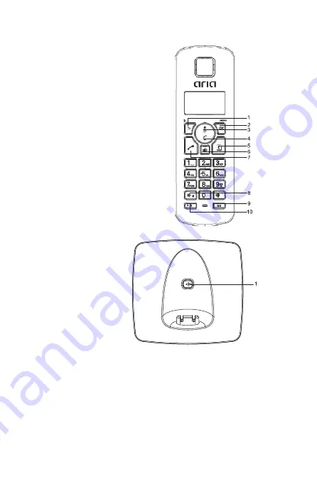 Aria AP-3000D Скачать руководство пользователя страница 6