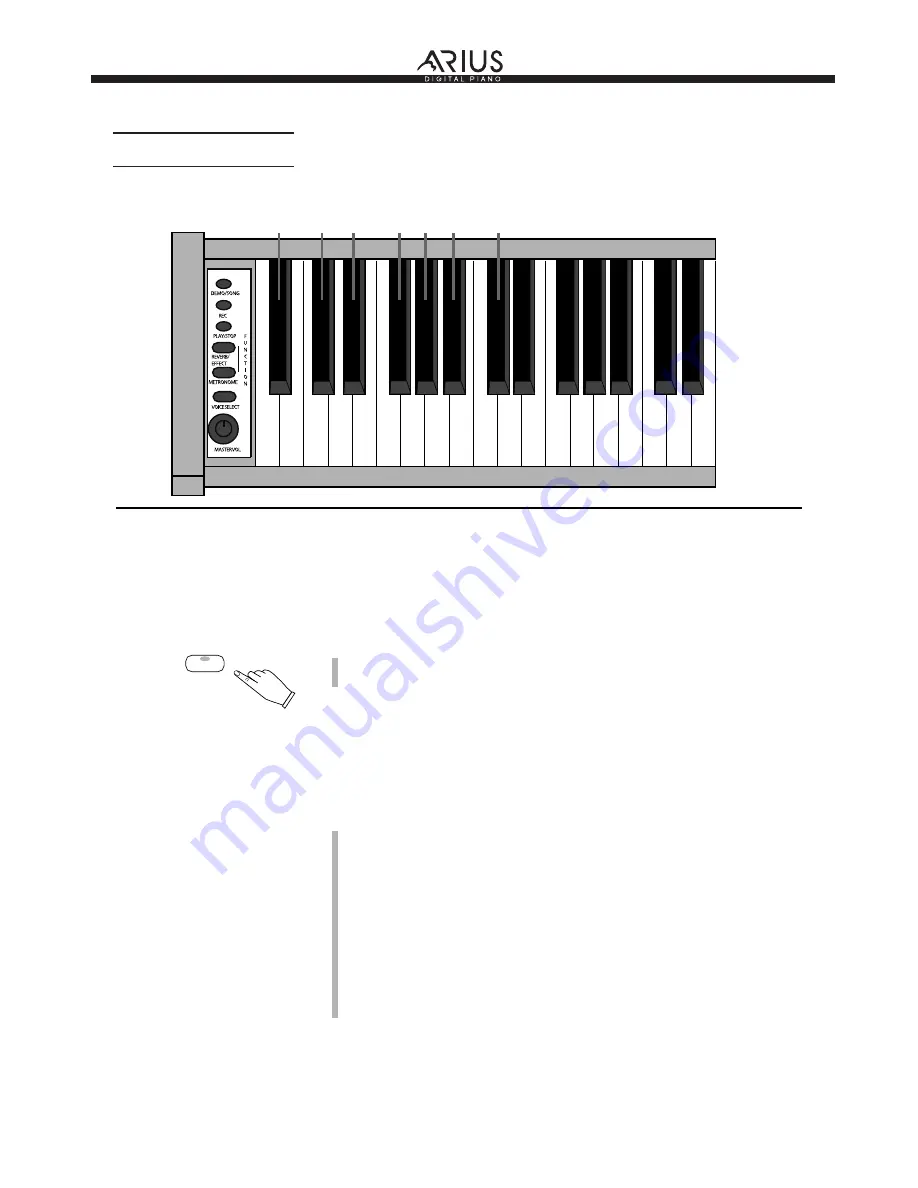 Arius STN-1000 User Manual Download Page 20