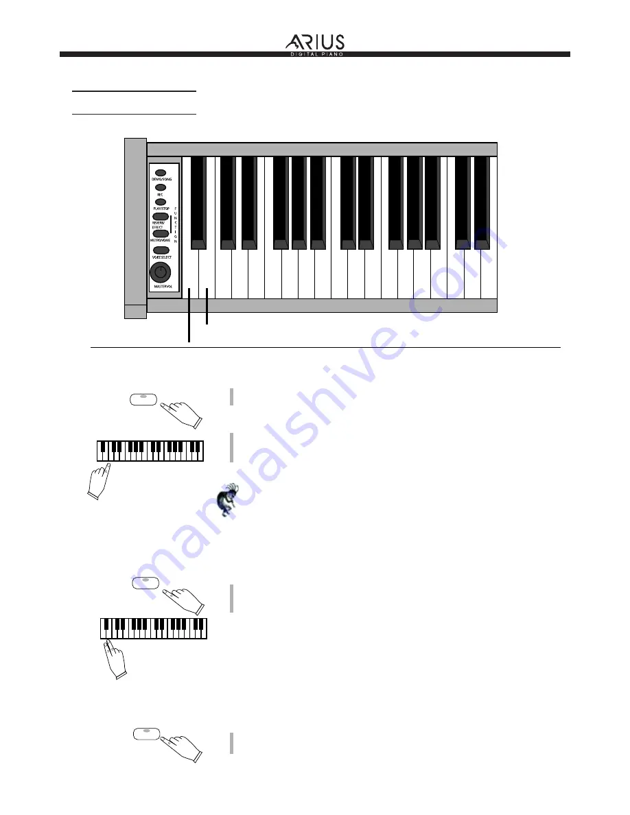 Arius STN-1000 User Manual Download Page 21