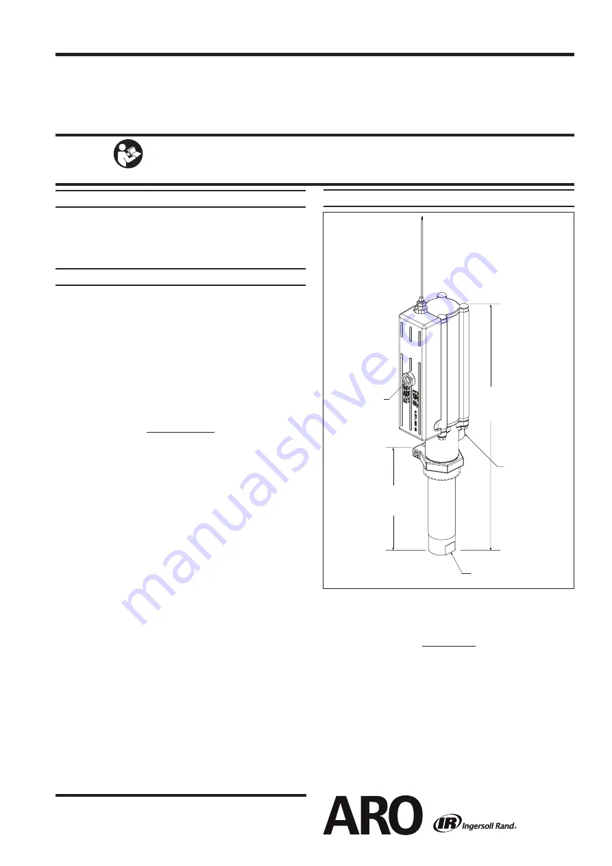 ARO TWO-BALL PUMP Series Скачать руководство пользователя страница 1