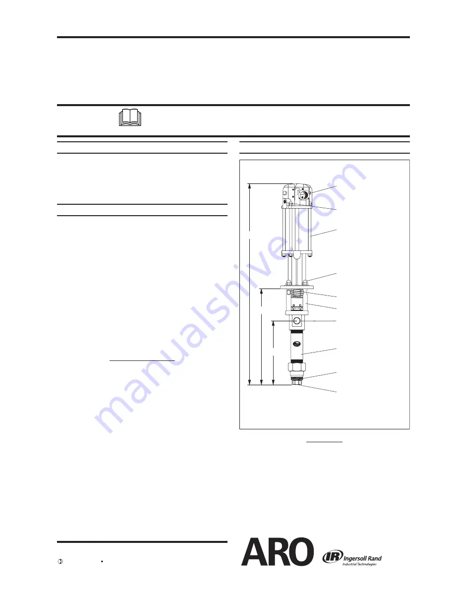 ARO TWO_BALL PUMP SERIES 650485-XXX Скачать руководство пользователя страница 1