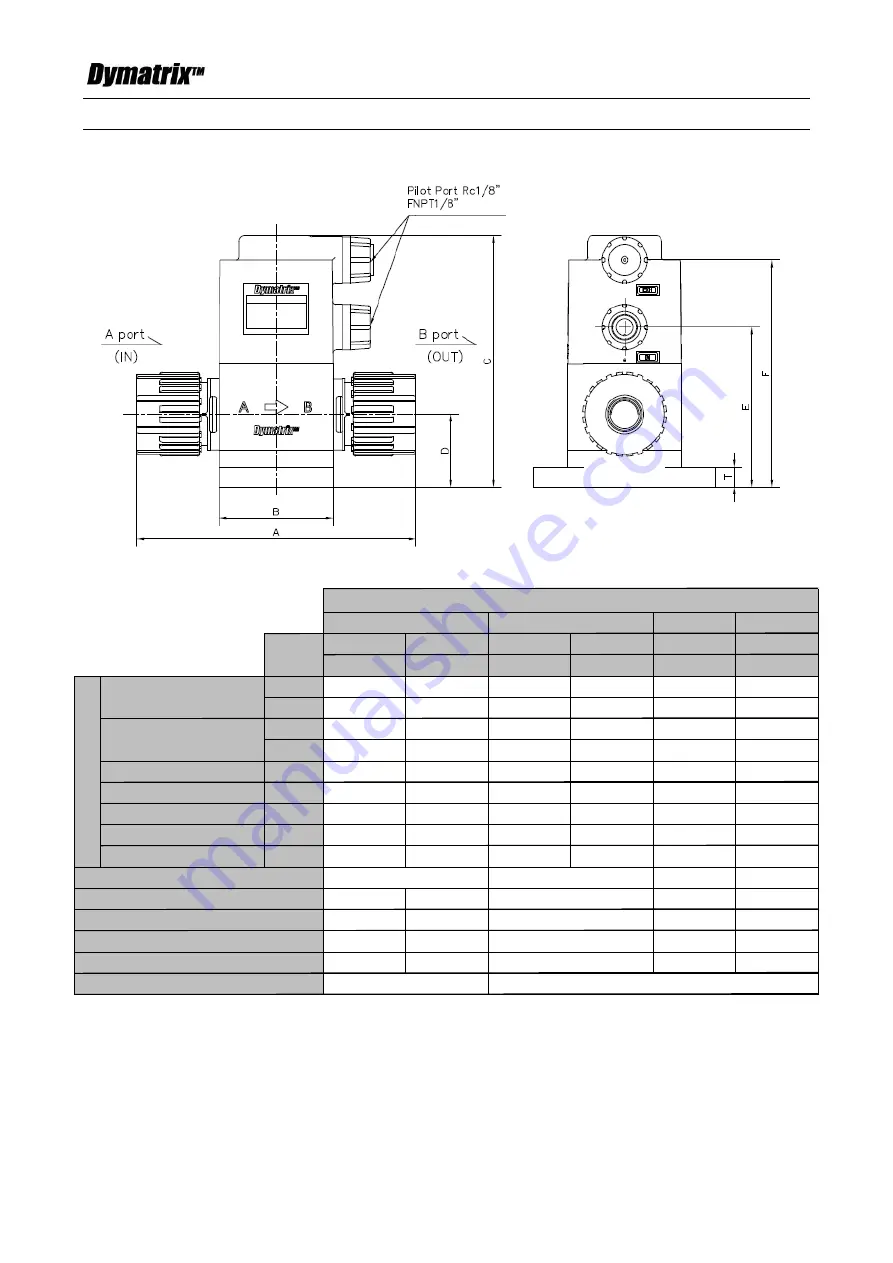 ASAHI YUKIZAI Dymatrix AVSDV User Manual Download Page 10