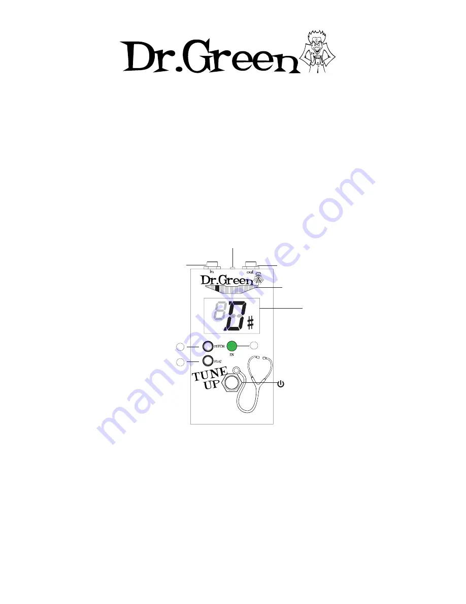 Ashdown Dr. Green Tune Up User Manual Download Page 1