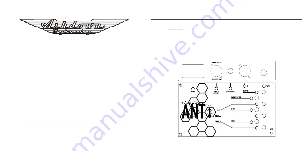 Ashdown THE ANT User Manual Download Page 11