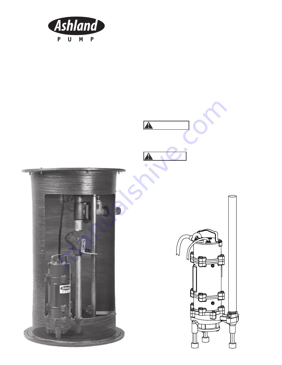 Ashland AGP200 Series Скачать руководство пользователя страница 10