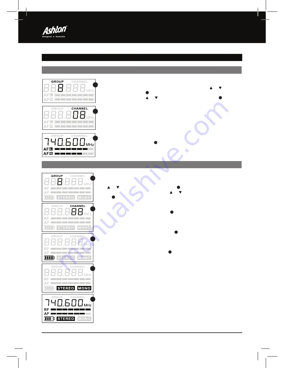 Ashton IEM250 User Manual Download Page 6