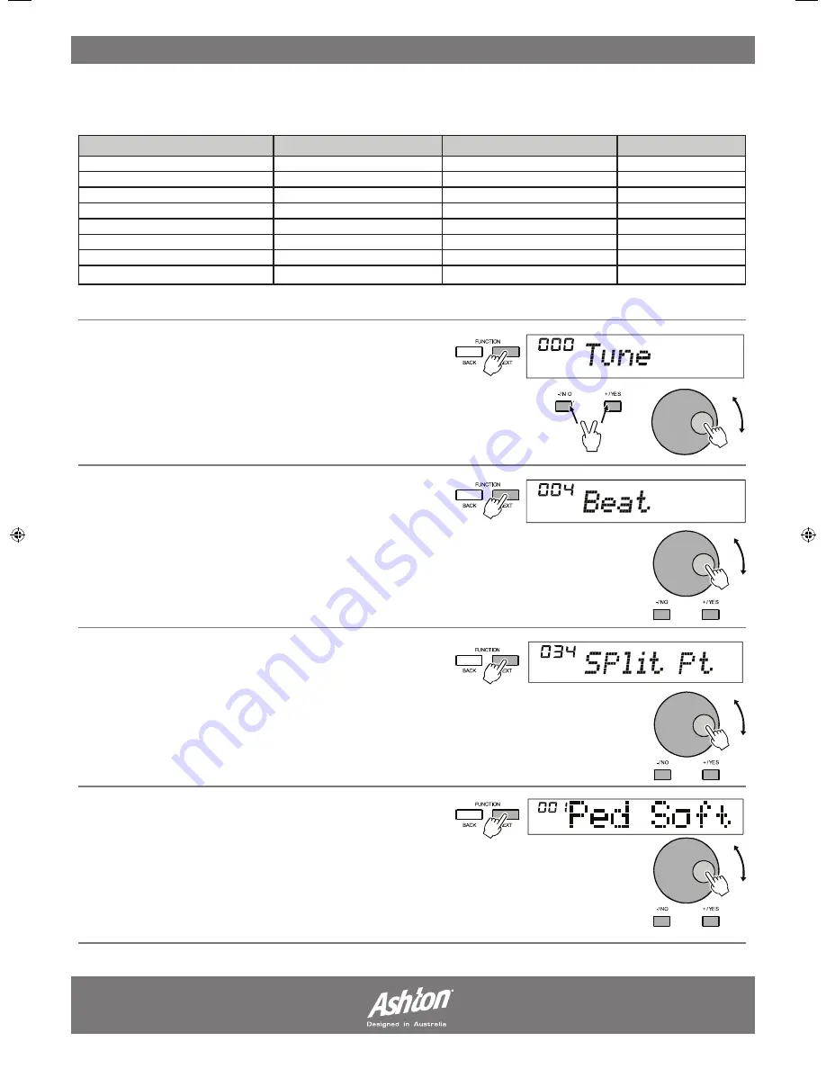 Ashton STAGEPERFORMER500 User Manual Download Page 17