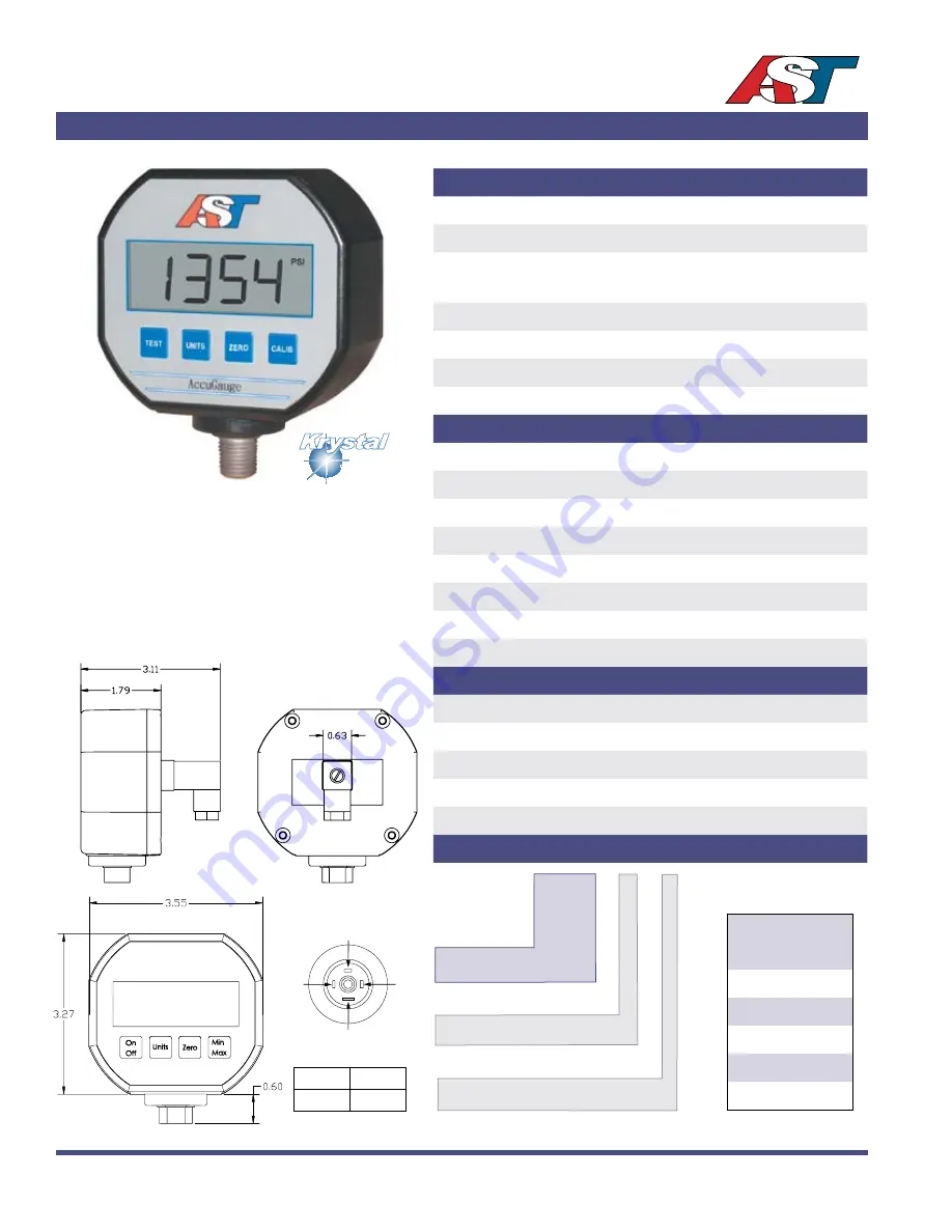 AST AccuGauge AG200 Скачать руководство пользователя страница 1