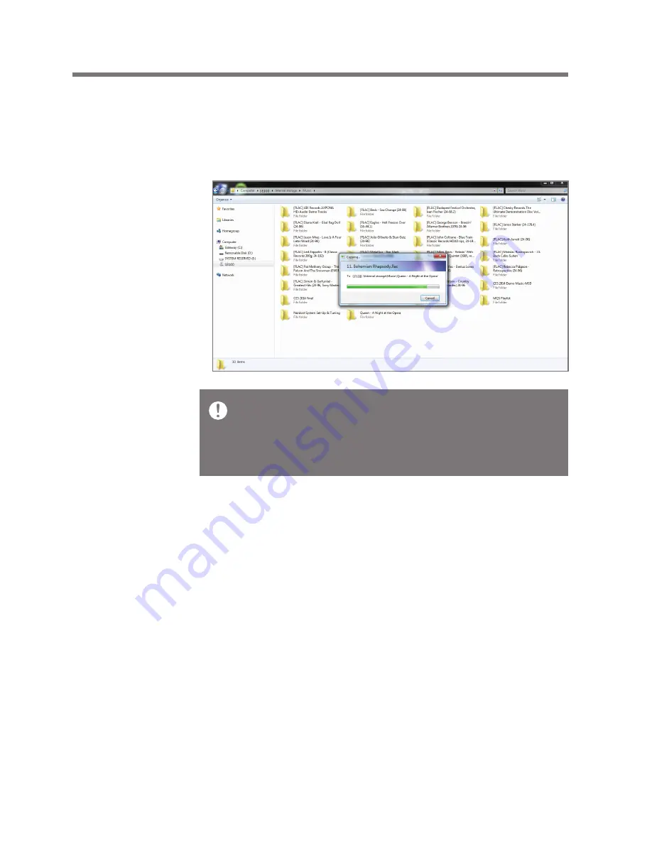 Astell & Kern A&futura SE100 User Manual Download Page 10