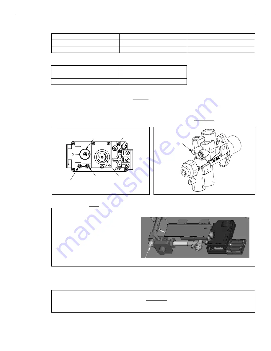 Astria Fireplaces Gemini35DEN-B Скачать руководство пользователя страница 10