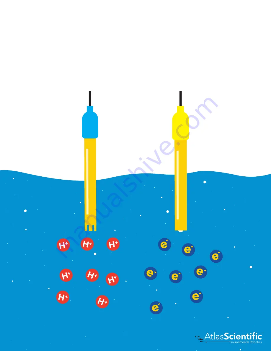 Atlas Scientific EZO-ORP Скачать руководство пользователя страница 5