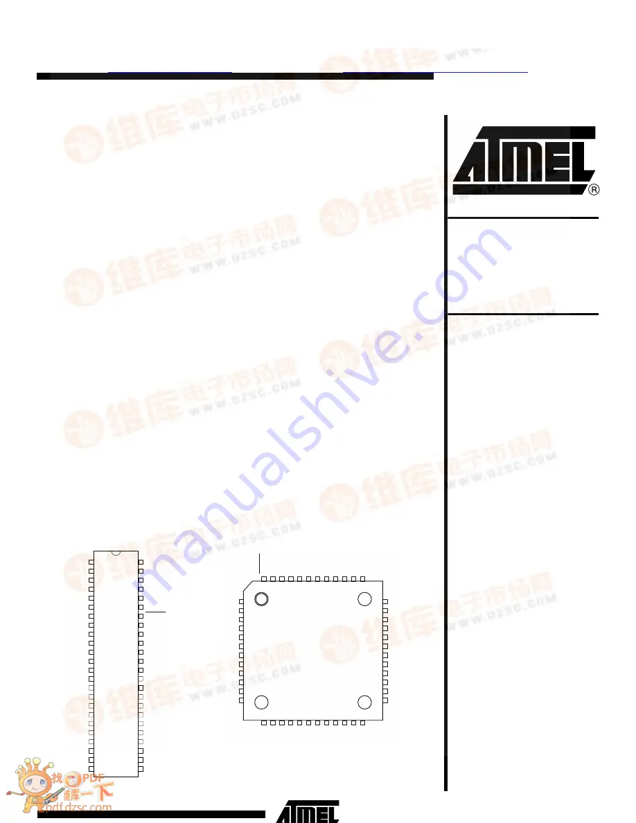 Atmel AT43USB324 Скачать руководство пользователя страница 1