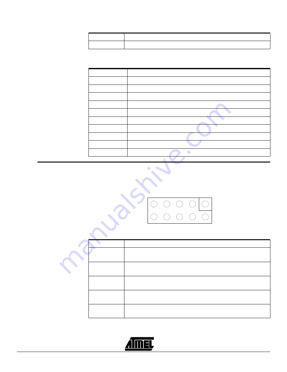 Atmel AVR ATasicICE POD User Manual Download Page 5