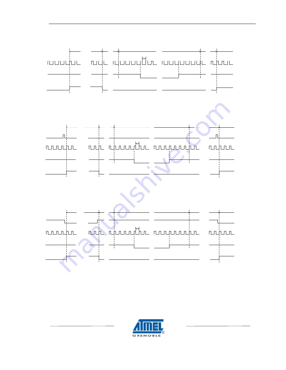 Atmel CAMELIA 2.5M User Manual Download Page 5