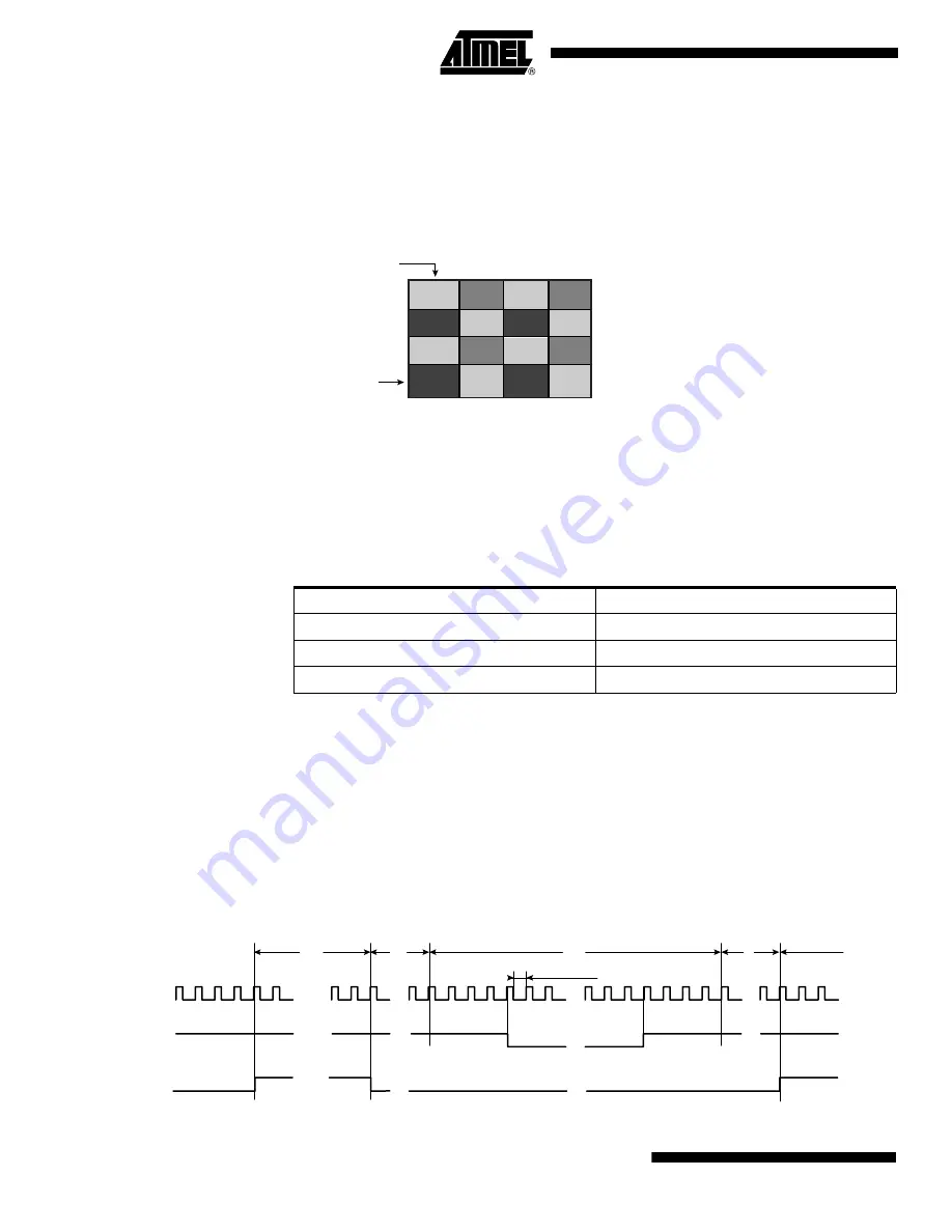 Atmel CAMELIACOL 8M User Manual Download Page 4