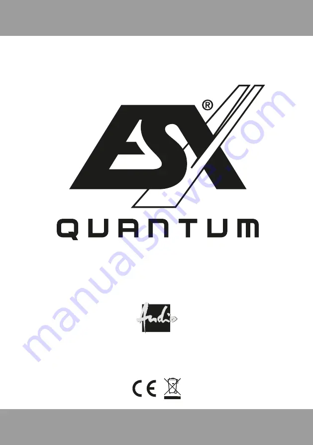 Audio Design ESX QUANTOM QXE42 Manual Download Page 8