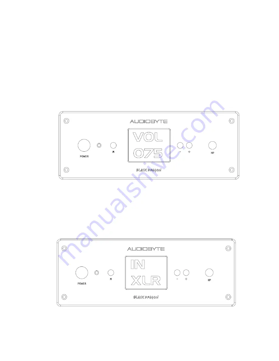 AUDIOBYTE BLACK DRAGON User Manual Download Page 5