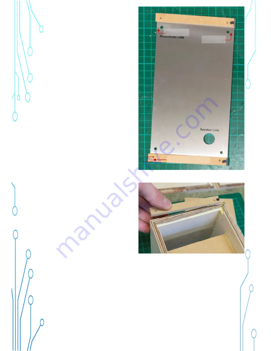 Audiosmile LBM MK2 Diy Assembly Manual Download Page 10