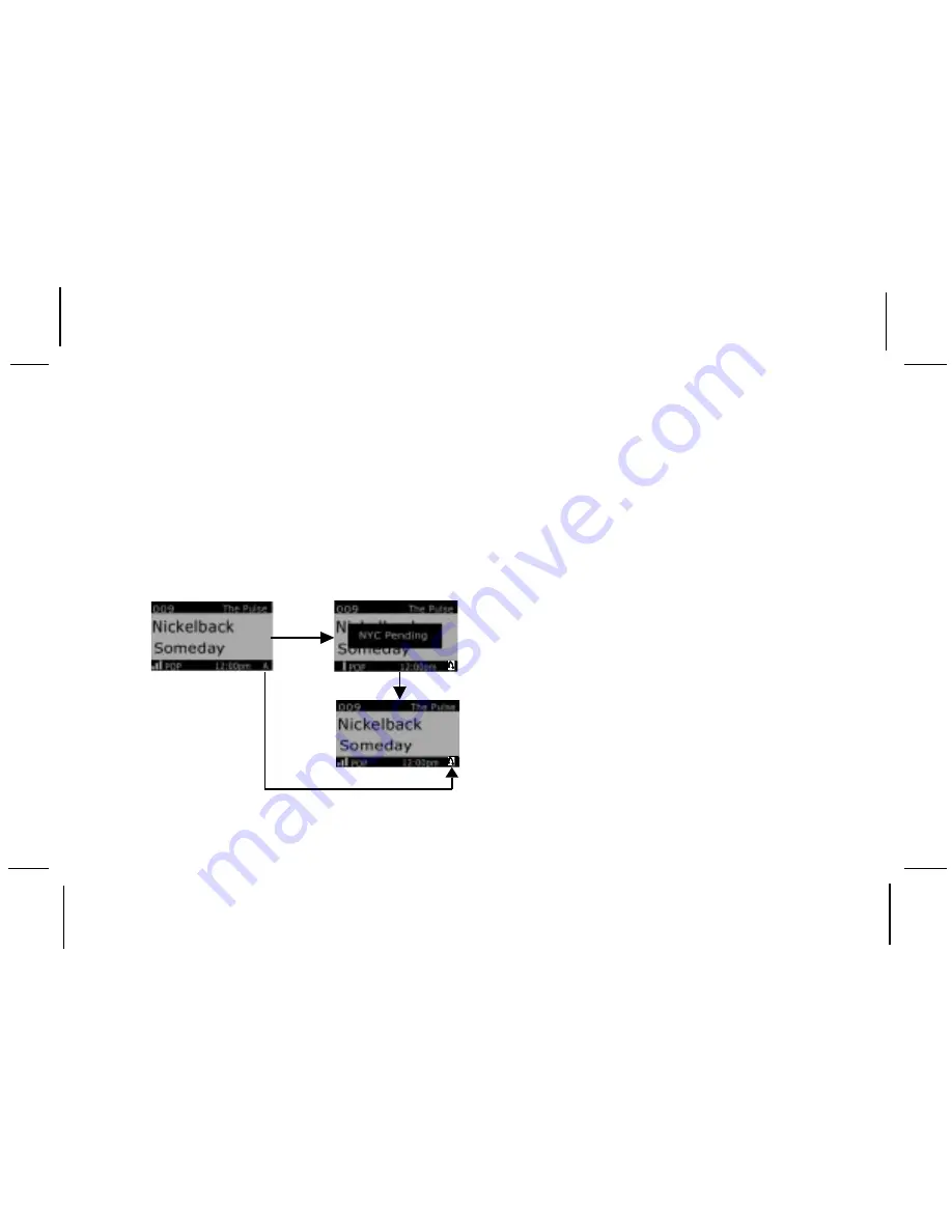 Audiovox Electronics Shuttle SIR-PNP3 User Manual Download Page 17