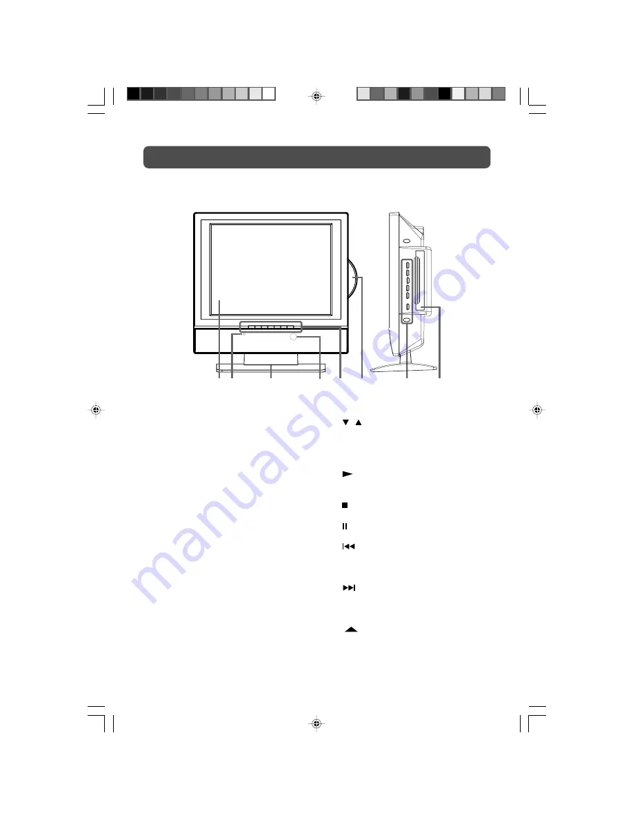 Audiovox FPE1507DV - 15