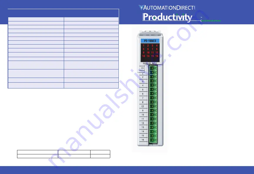 Automationdirect.com Productivity 2000 P2-16NE3 Скачать руководство пользователя страница 1