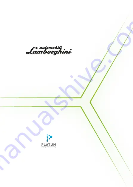 AUTOMOBILI LAMBORGHINI AL EXT Bronze User Manual Download Page 335