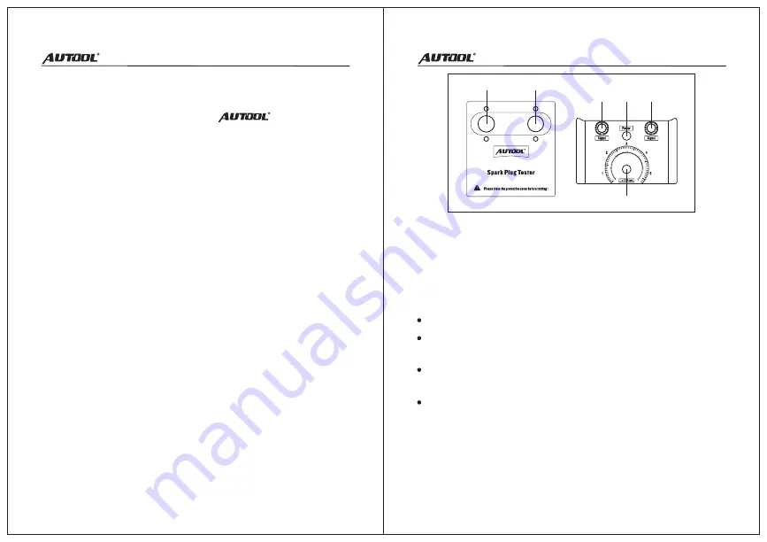 Autool SPT101 User Manual Download Page 2