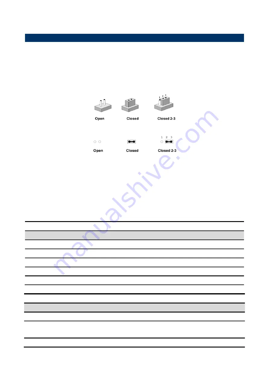 Avalue Technology EMX-C246DP User Manual Download Page 21