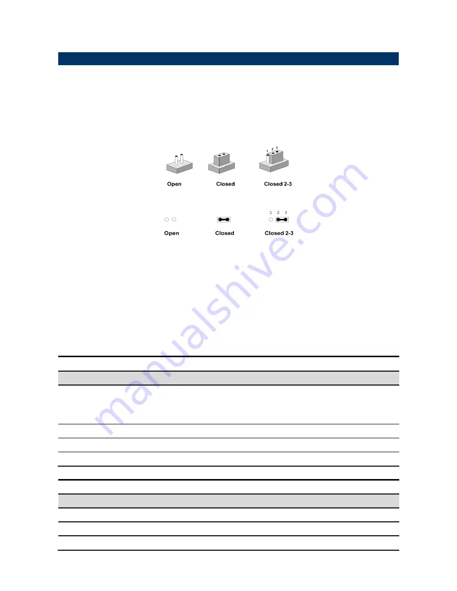 Avalue Technology REV-Q703 User Manual Download Page 13