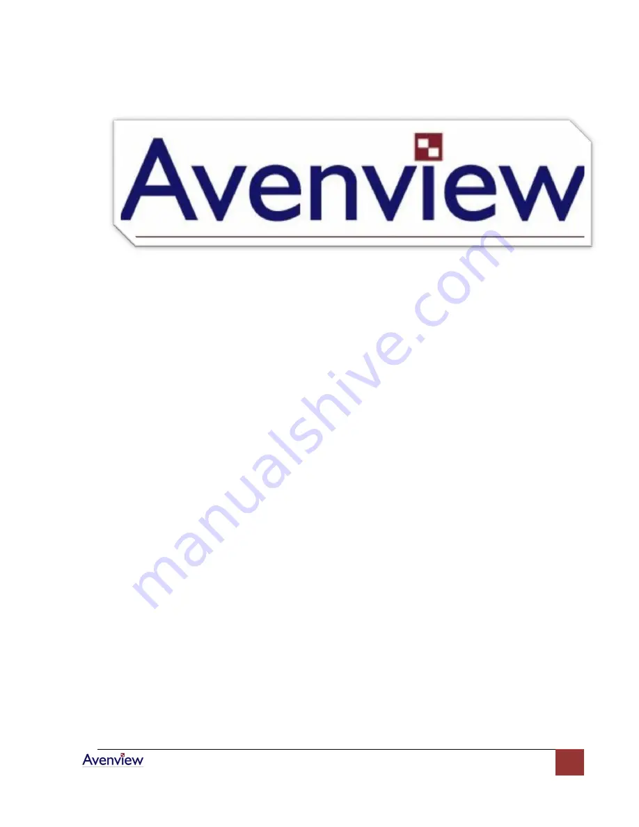 Avenview DVI-GS3-2 Скачать руководство пользователя страница 13