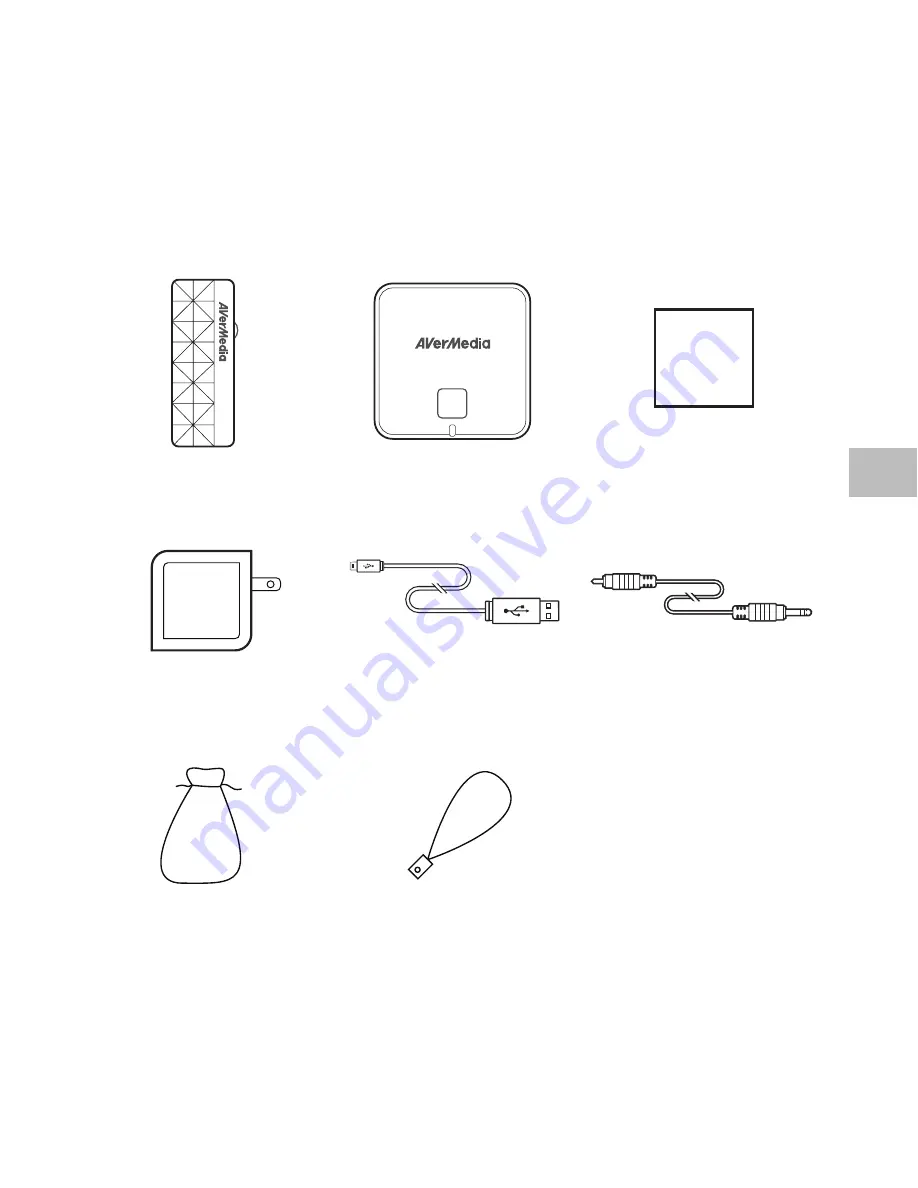 Avermedia AW310 User Manual Download Page 31