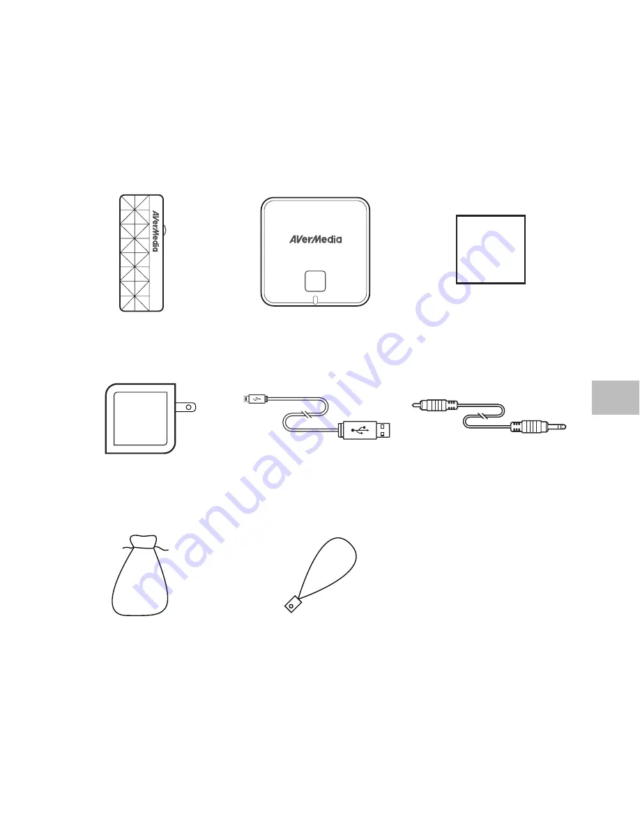 Avermedia AW310 User Manual Download Page 39