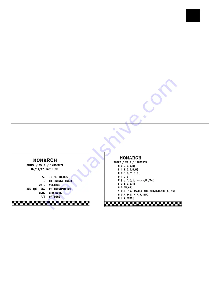 Avery Dennison Monarch Tabletop Printer 2 Reference Manual Download Page 139