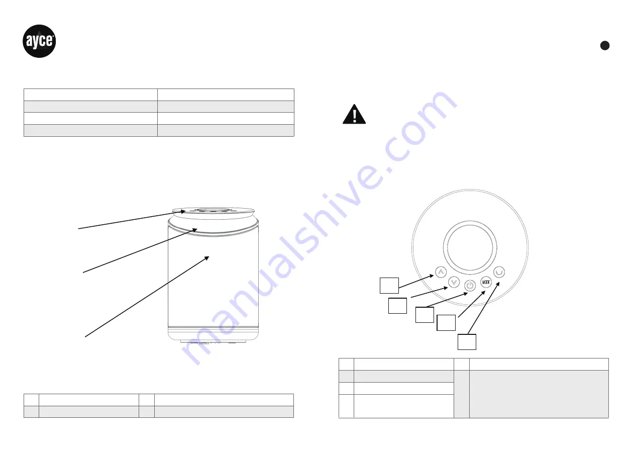 Ayce PT2000W Original Instructions Manual Download Page 11