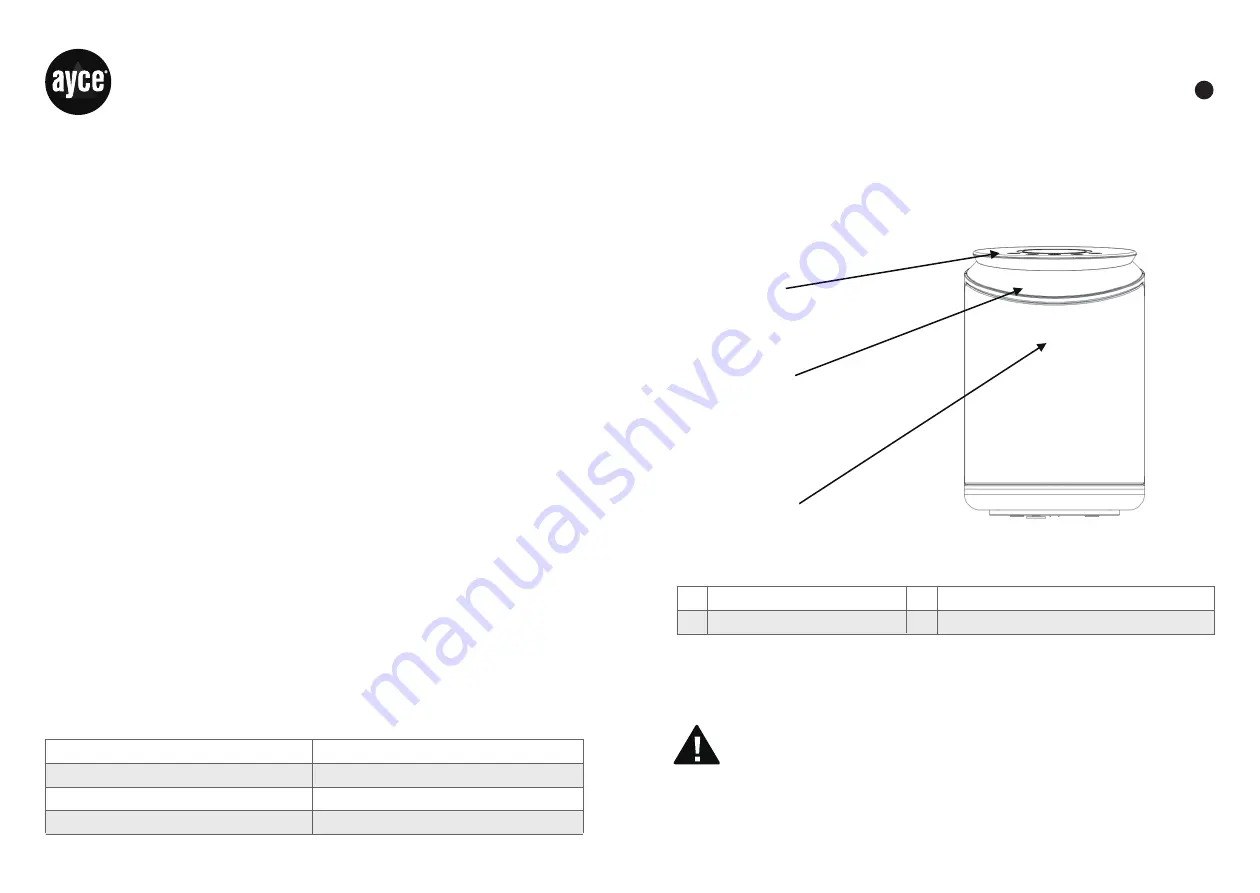 Ayce PT2000W Original Instructions Manual Download Page 24