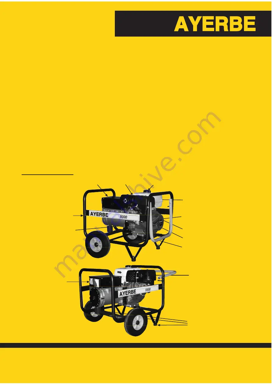 ayerbe 5500 TX Manual Download Page 15