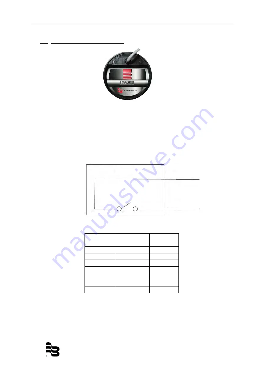 Badger Meter ILR701 Скачать руководство пользователя страница 15