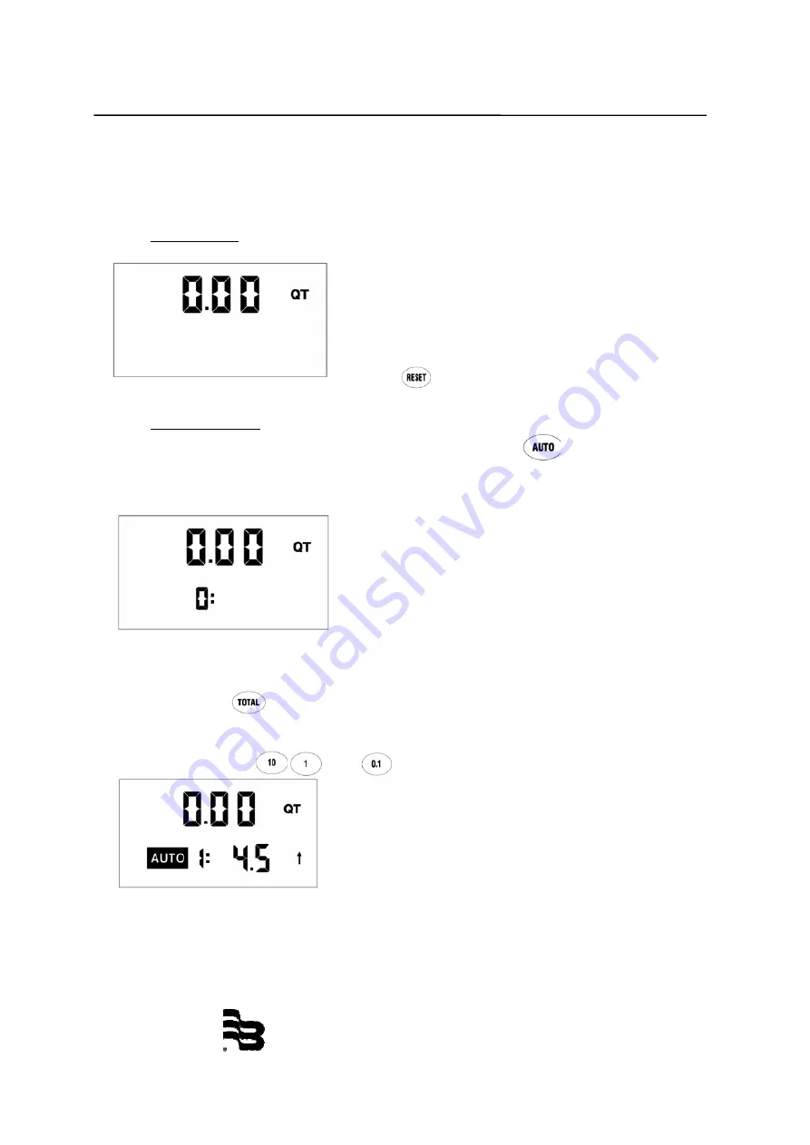 Badger Meter LM-OG-P2 Advanced Installation And Operation Manual Download Page 31