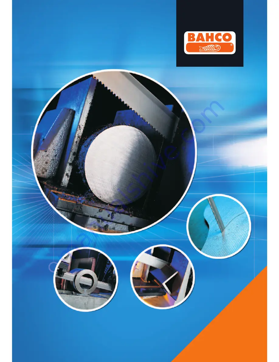 Bahco 3857 Sandflex Brochure Download Page 1